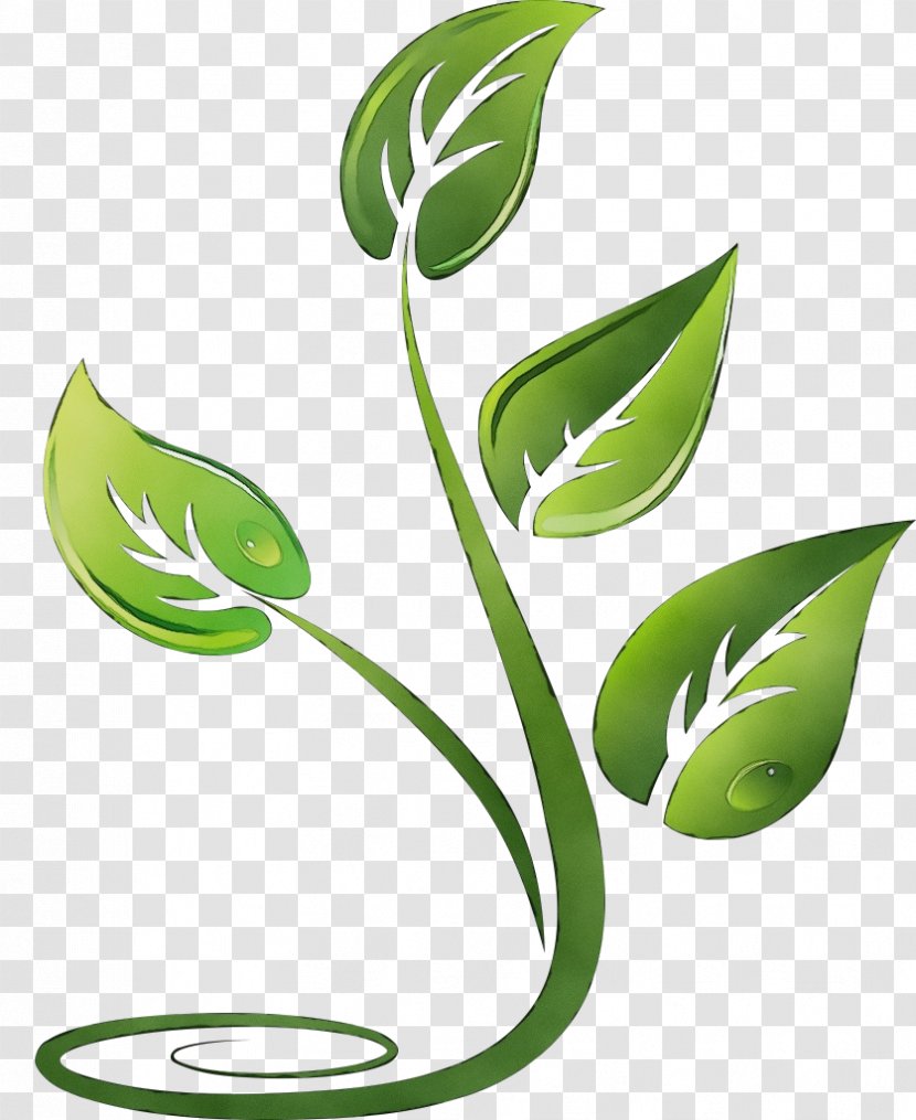 Leaf Green Plant Clip Art Grass - Flower - Monstera Deliciosa Tree Transparent PNG