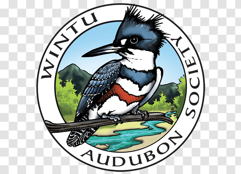 Plumas Audubon Society National Wintu Language Turtle Bay - United States Of America - Santa Clara Transparent PNG