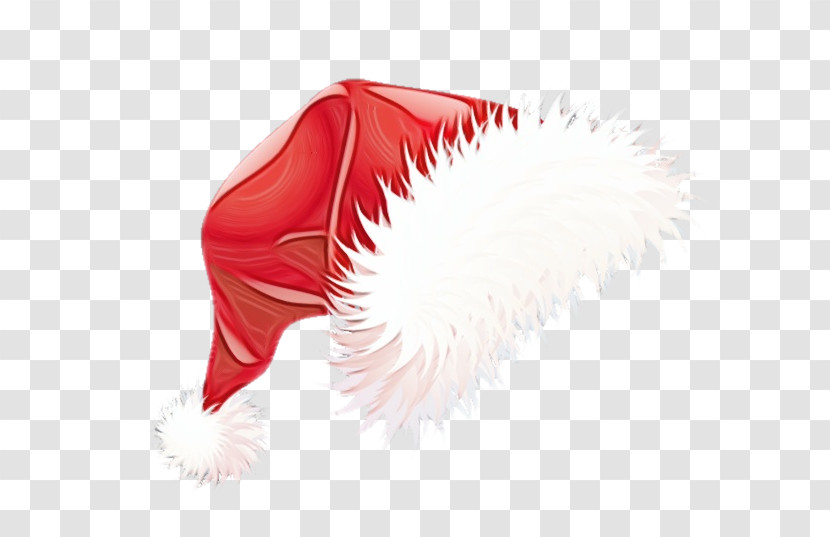 Feather Transparent PNG