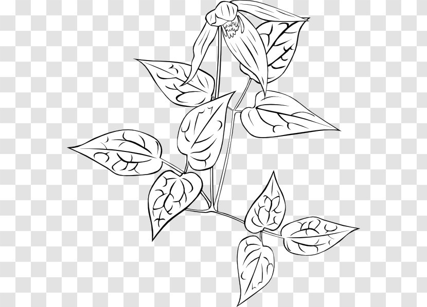 Drawing Plant Clip Art - Wing - Wild Flowers Transparent PNG