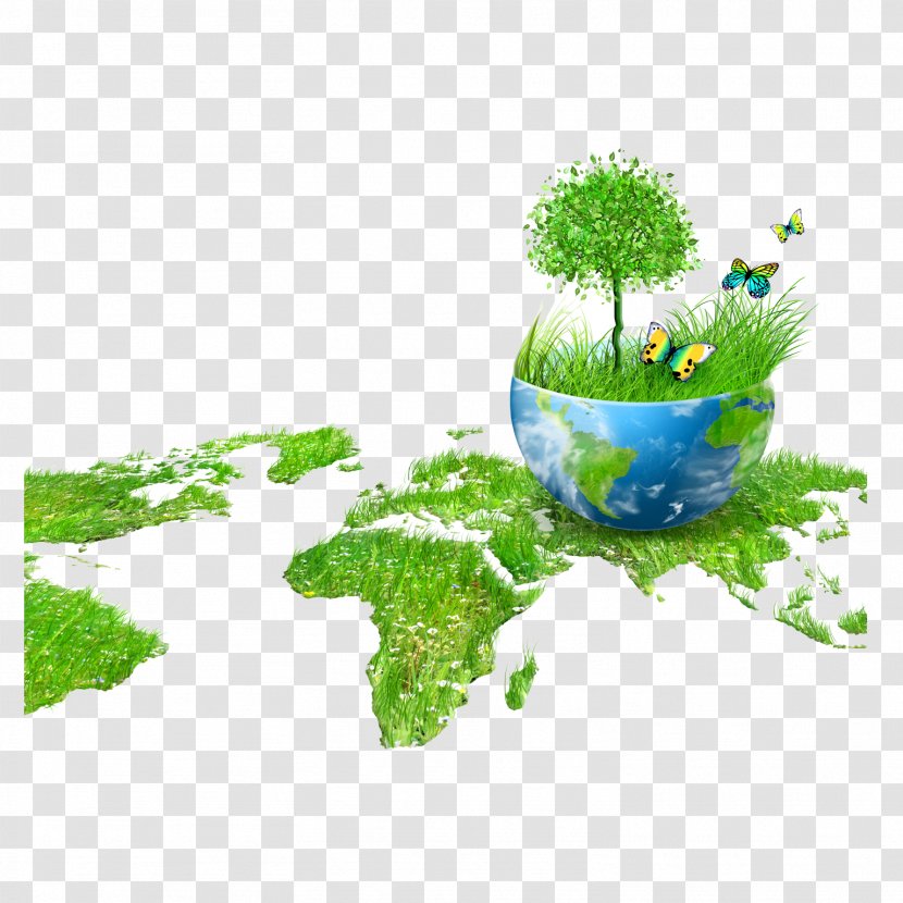 Earth Globe Environmentally Friendly Green Home - Plant - Environmental Map Transparent PNG