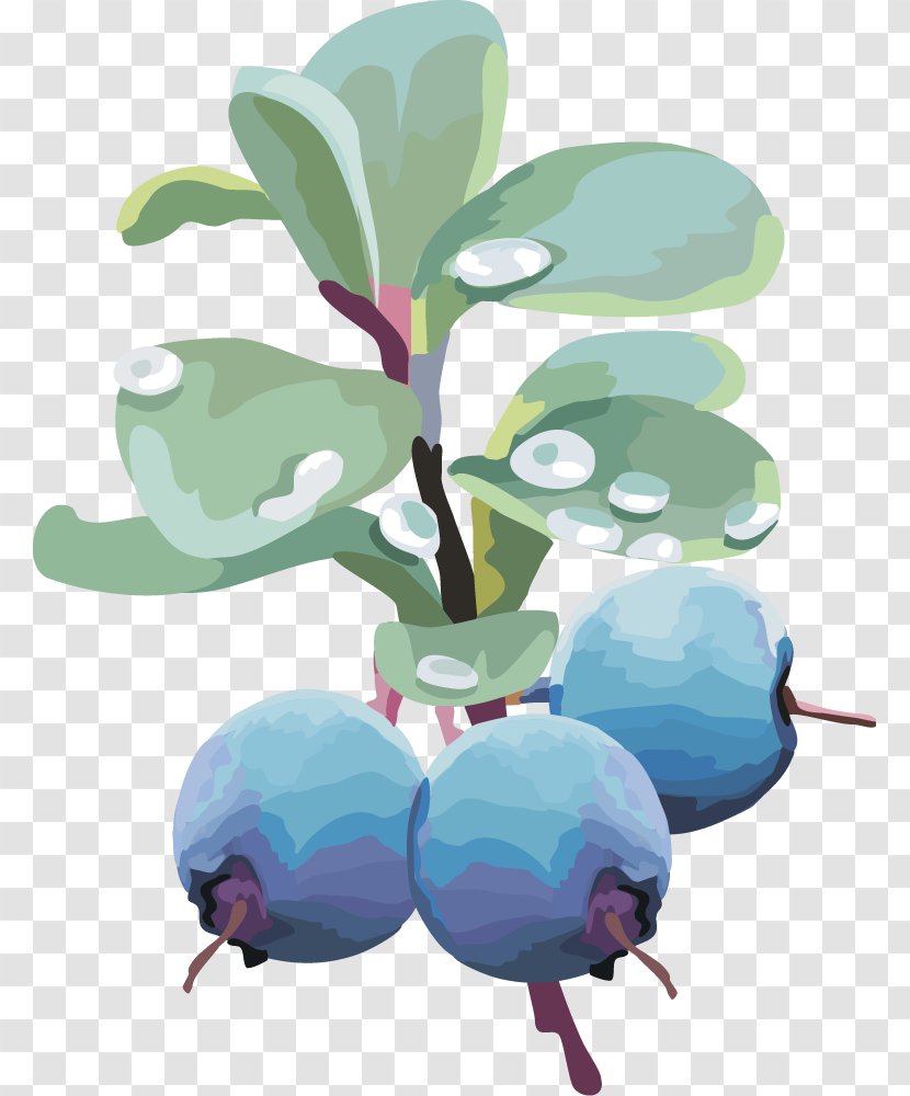 Blueberry Euclidean Vector Clip Art - Fruit - Lantern Fruit,blueberry Transparent PNG