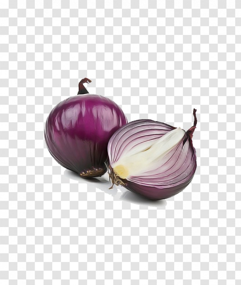 Red Onion Vegetable Food Violet - Yellow Allium Transparent PNG