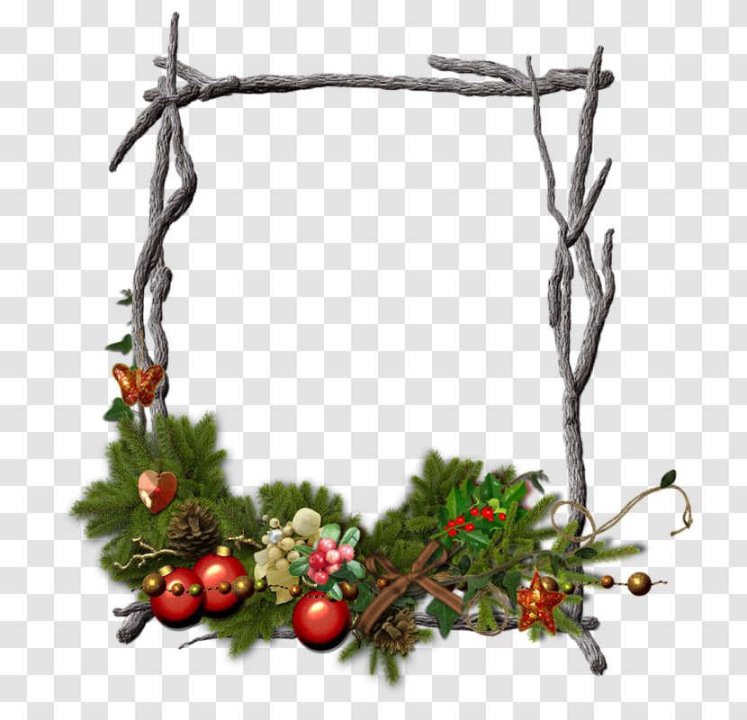 Branch Tree Twig Picture Frames Transparent PNG