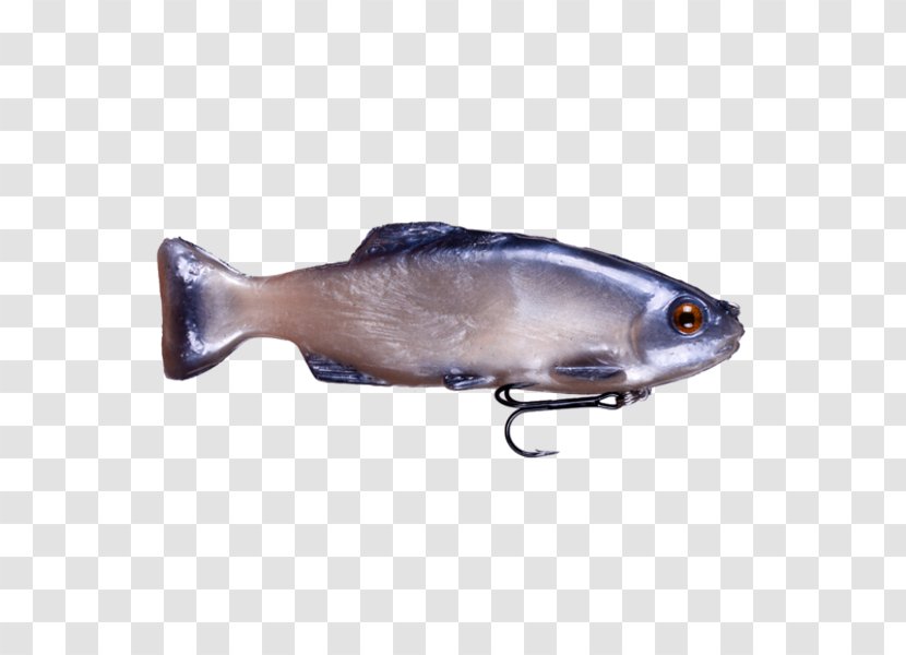 Spoon Lure Oily Fish Herring - Bream Transparent PNG