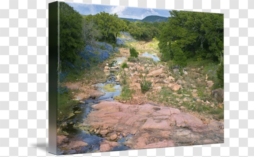 Hill Country State Natural Area Art Texas Landscaping Imagekind - Landscape Transparent PNG