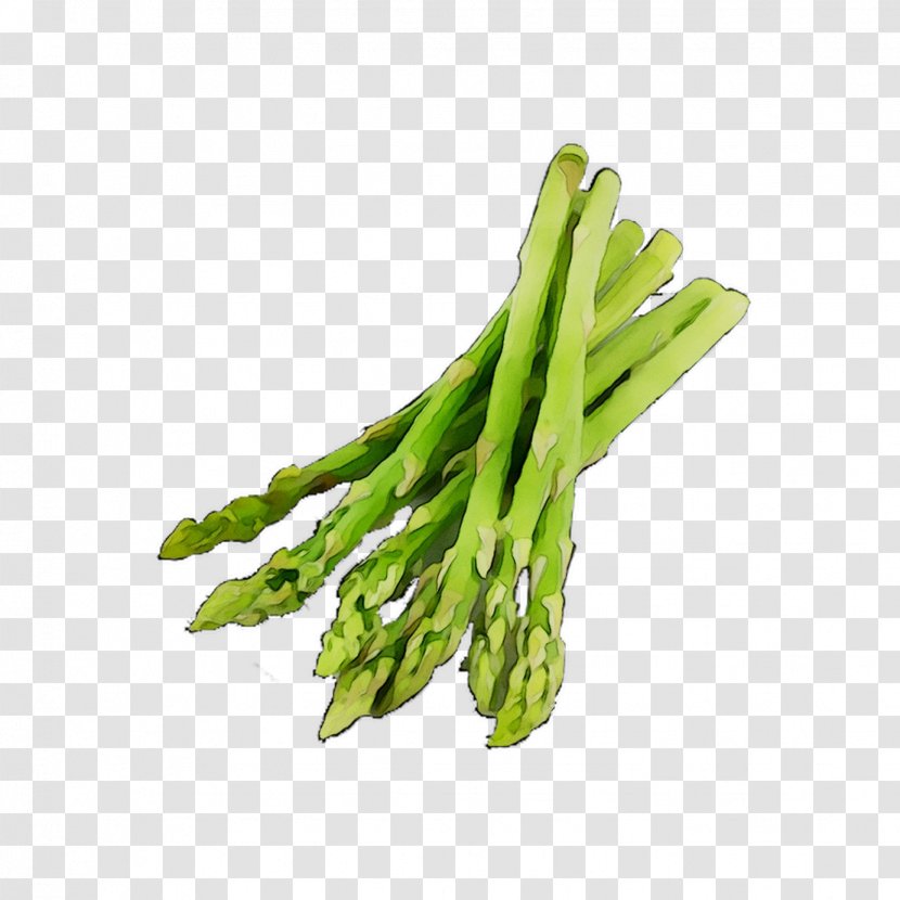 Asparagus Vegetarian Cuisine Greens Vegetable Green Bean - Flower Transparent PNG