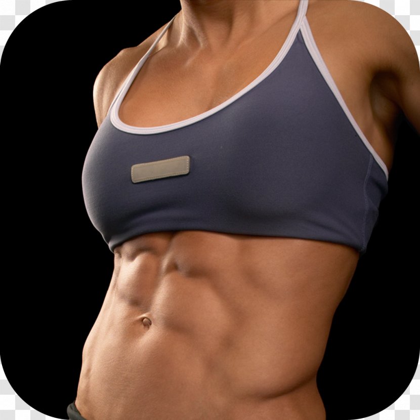 Rectus Abdominis Muscle Abdominal Exercise Physical Woman Crunch - Watercolor - Boxing Transparent PNG