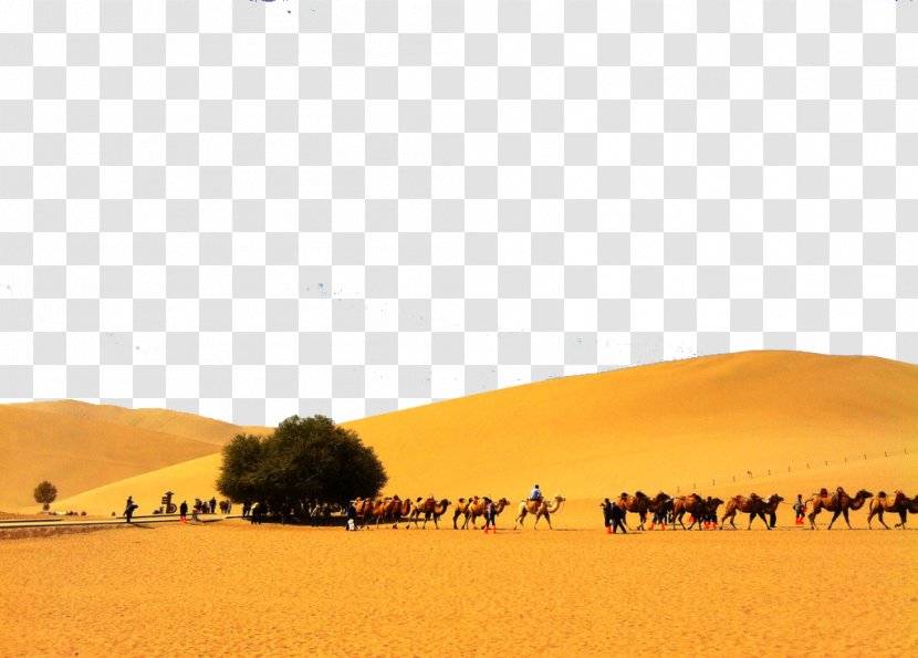 Sahara Erg Desert Singing Sand Transparent PNG