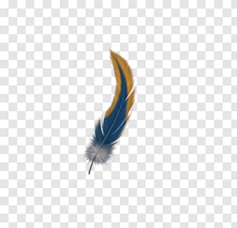 Feather - Blue - Related Wings Transparent PNG