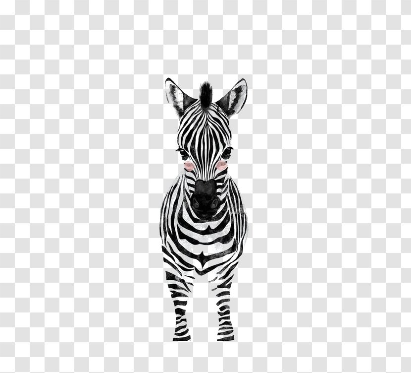 Nursery Infant Art Room Zebra - Photography - Cute Transparent PNG