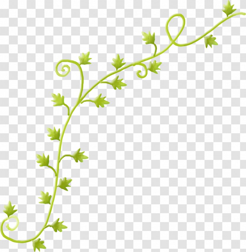 Vine Clip Art - Twig - Vintage Flower Transparent PNG