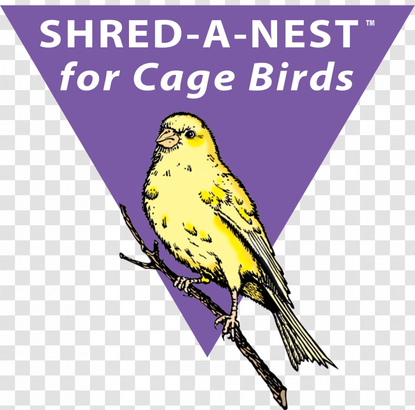 Finches Bird Nest The Sibley Guide To Birds Macaw Transparent PNG