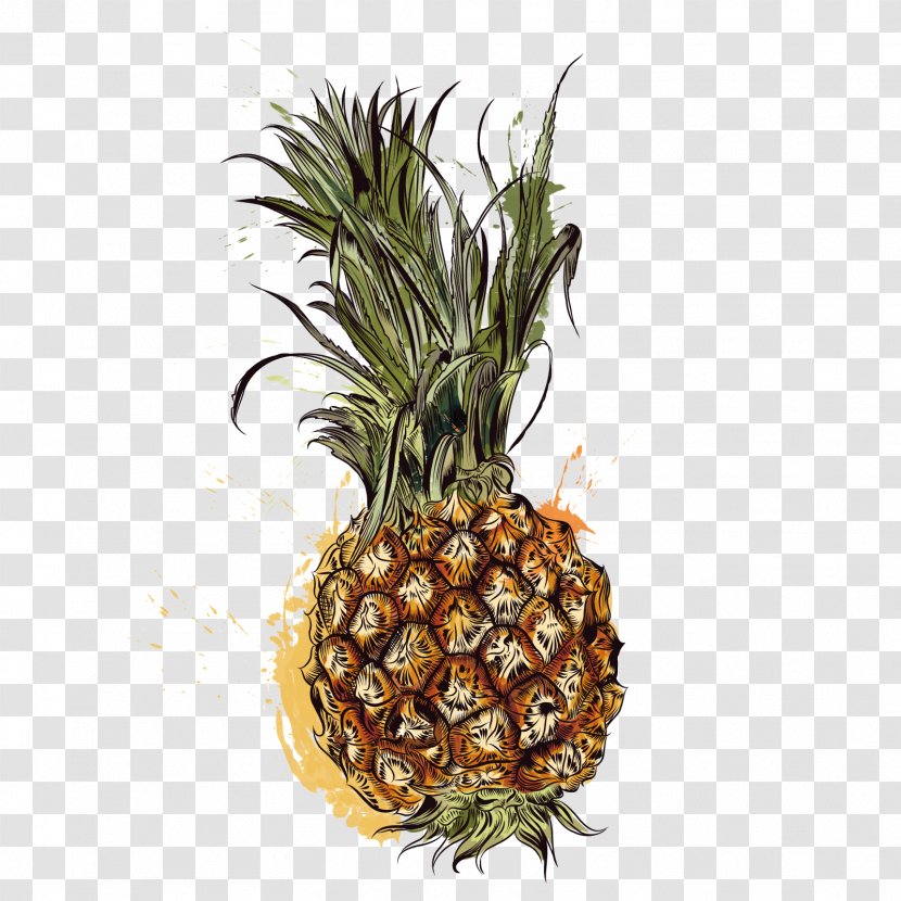 Pineapple Tropic Fruits - Tropics - Vector Fruit Transparent PNG