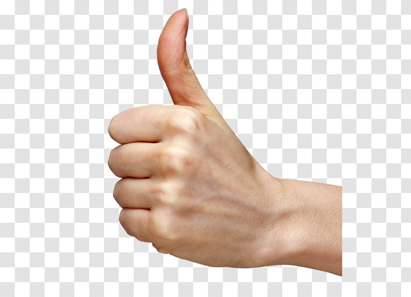 Finger Hand Thumb Gesture Arm - Thumbs Signal Wrist Transparent PNG