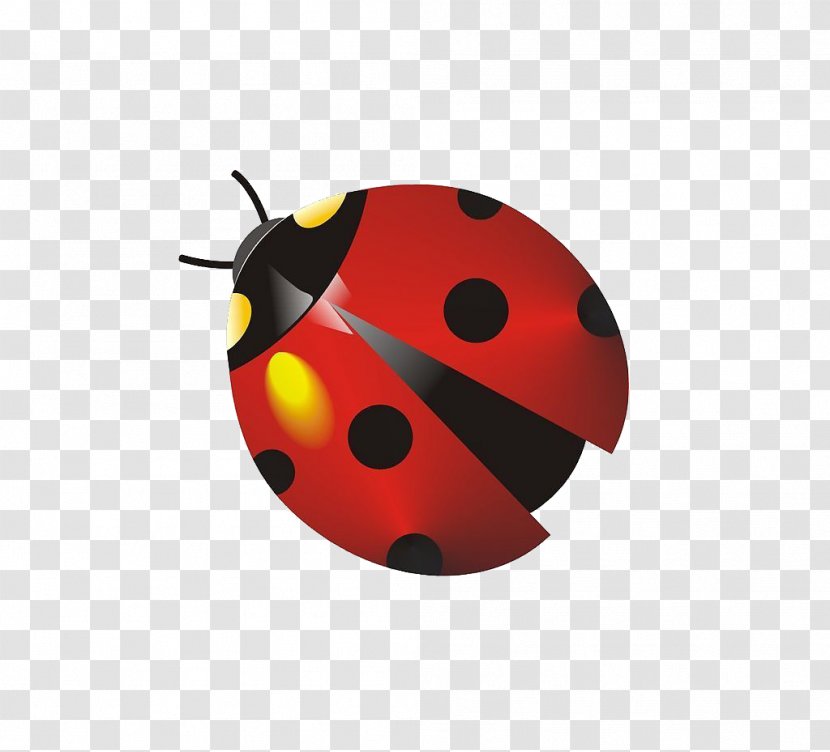 Insect Ladybird Coccinella Septempunctata Cartoon - Ladybug Transparent PNG