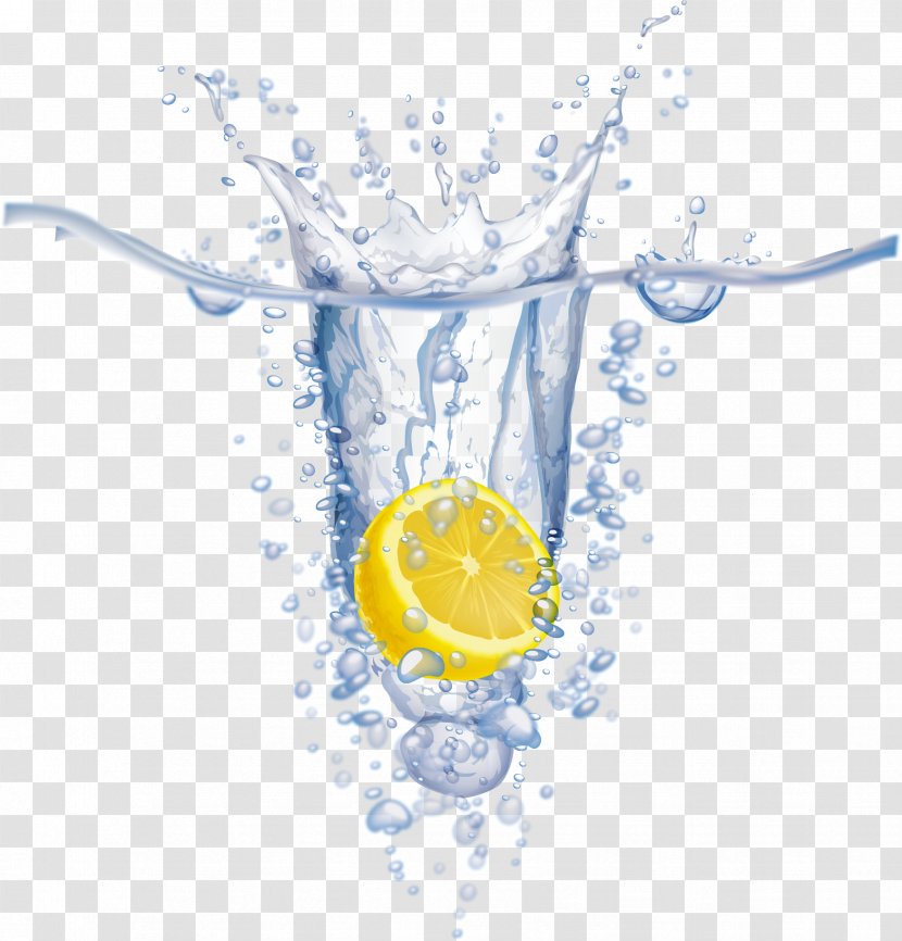 Water Lemon Euclidean Vector Transparent PNG