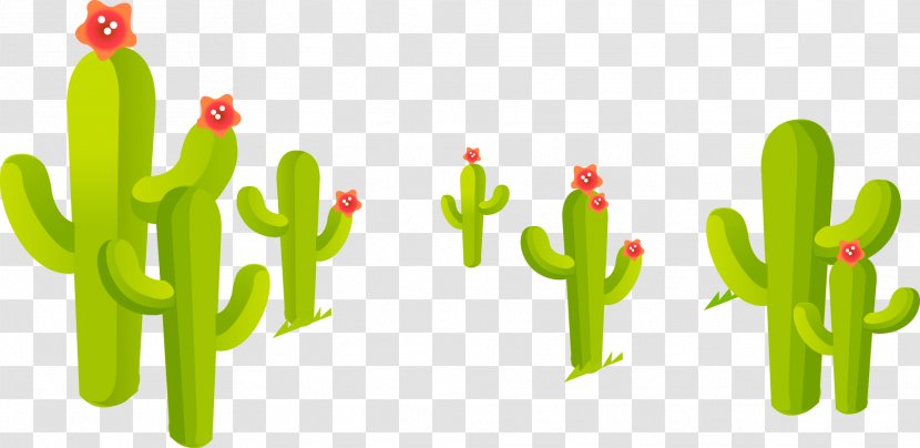 Train Cactaceae Cartoon - Flowering Plant - Fresh Cactus Transparent PNG