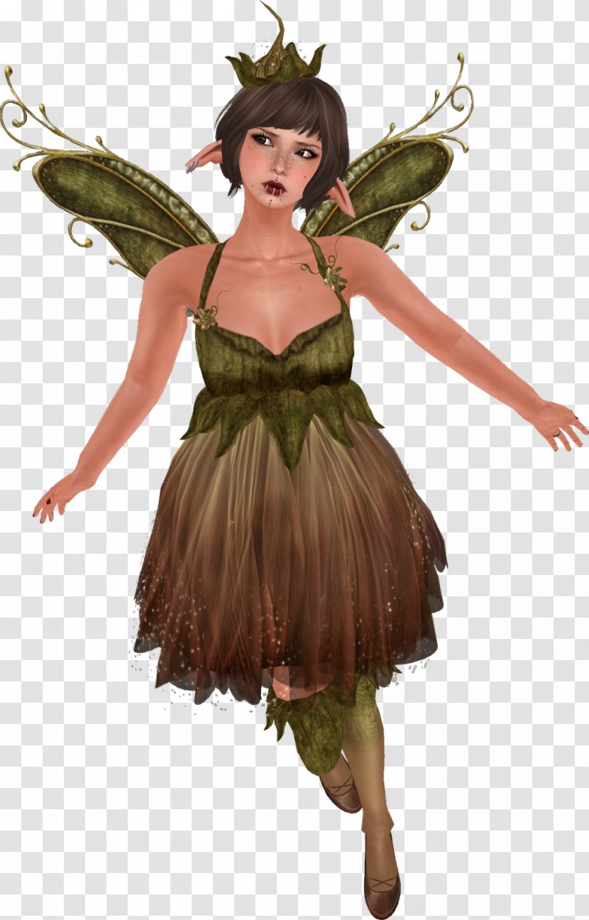 Fairy Costume Design Insect Transparent PNG