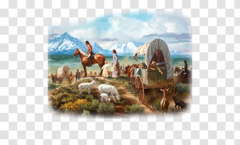 Assassin's Creed III How Why, Arizona Video Game Ecoregion - Heart - Oregon Trail Broadcasting Company Transparent PNG