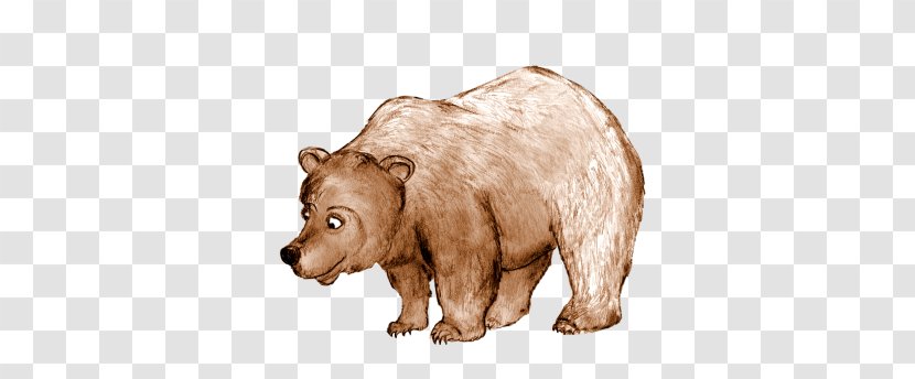 Grizzly Bear Brown Bears Drawing - Frame Transparent PNG