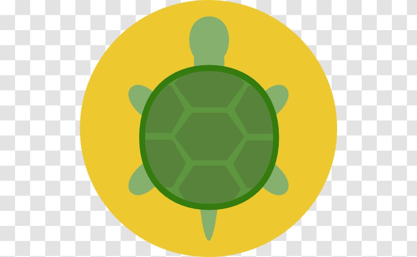 Turtle Tortoise - Sea Transparent PNG