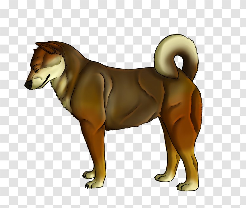 Dog Breed Lion Cat Puppy Transparent PNG