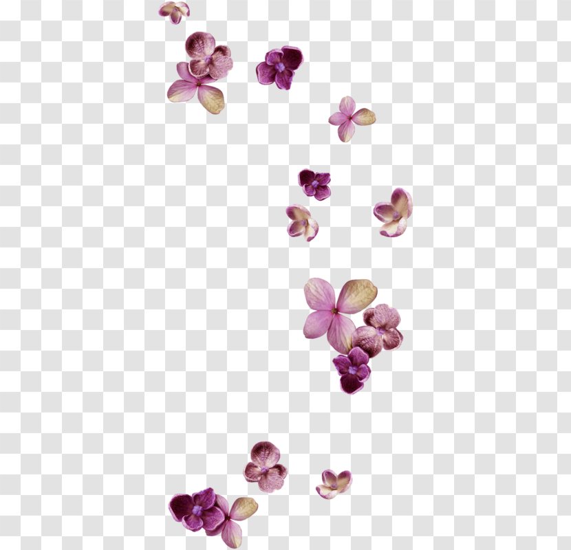Lilac - Magenta Transparent PNG