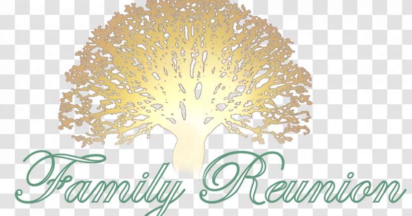 Banks Frazier Rembert Family Reunion 2018 Taylor CKI Chicago събитие - Yellow Transparent PNG