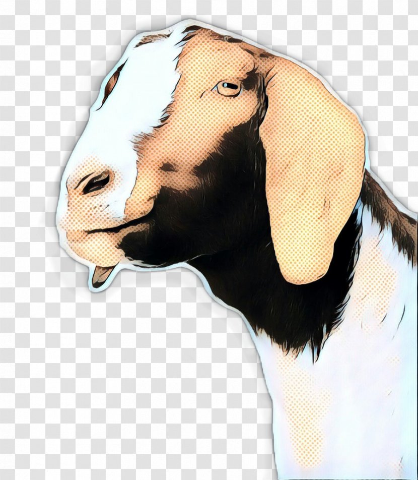 Goat Cartoon - Snout - Livestock Goatantelope Transparent PNG