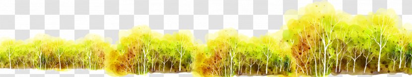 Wheatgrass Commodity Computer Oscar Wilde Wallpaper - Grasses - Bush Transparent PNG