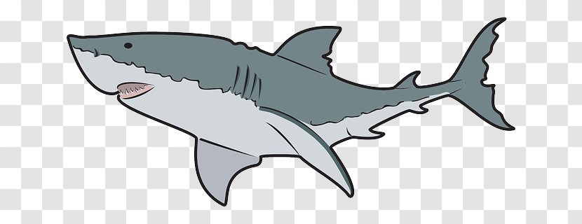 Whale Shark Clip Art - Carcharhiniformes - Steeple Cliparts Transparent PNG