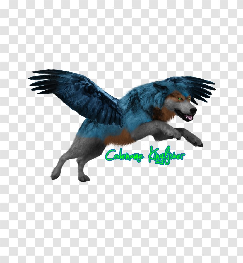Feather Fauna Beak Tail - Aurora Boreal Transparent PNG