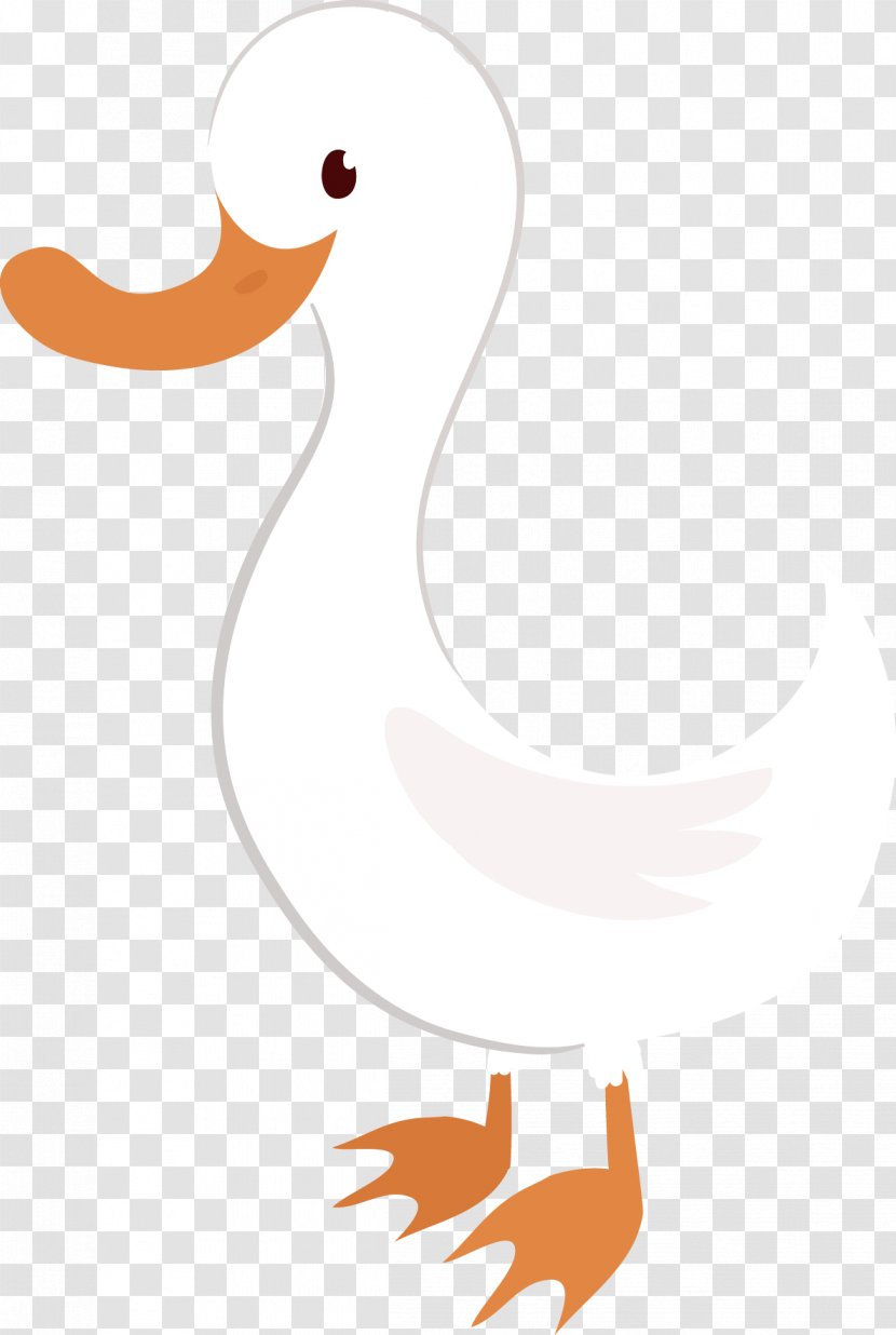 Duck American Pekin Cygnini Clip Art - Beak - Swan Vector Transparent PNG