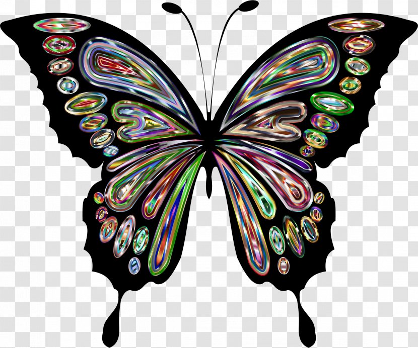 Butterfly Drawing Clip Art - Batterfly Transparent PNG
