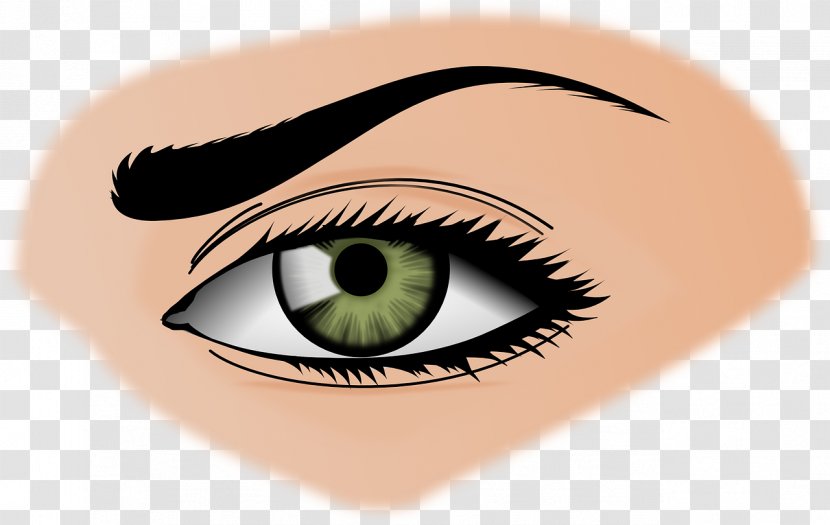 Human Eye Sense - Watercolor Transparent PNG