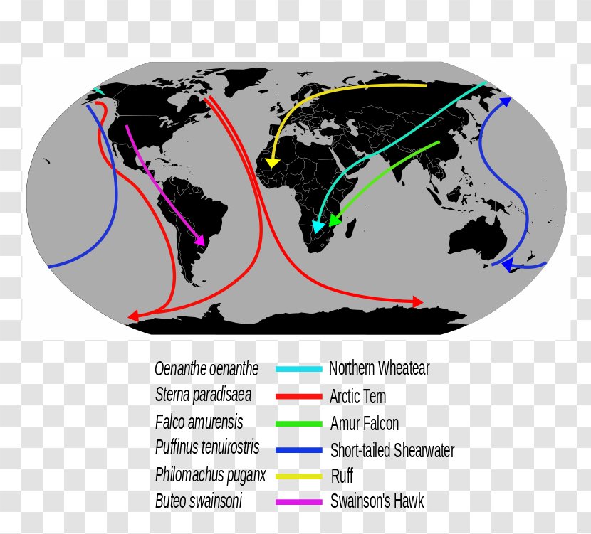 Globe Upside Down World Map - Royaltyfree Transparent PNG