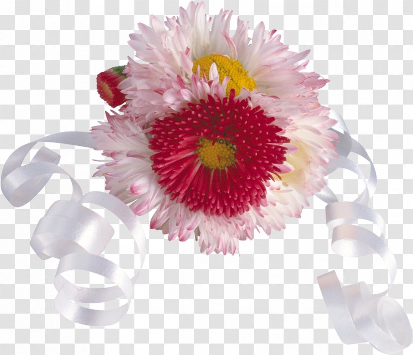 Festival Of The Flowers South Korea Floral Design - Petal - Chrysanthemum Transparent PNG