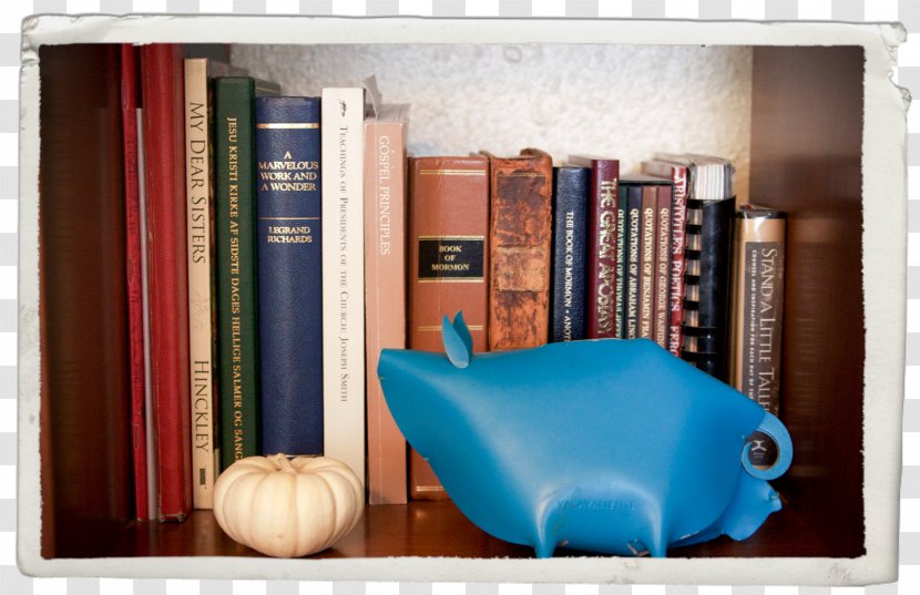 Shelf Bookcase Furniture - Store Transparent PNG