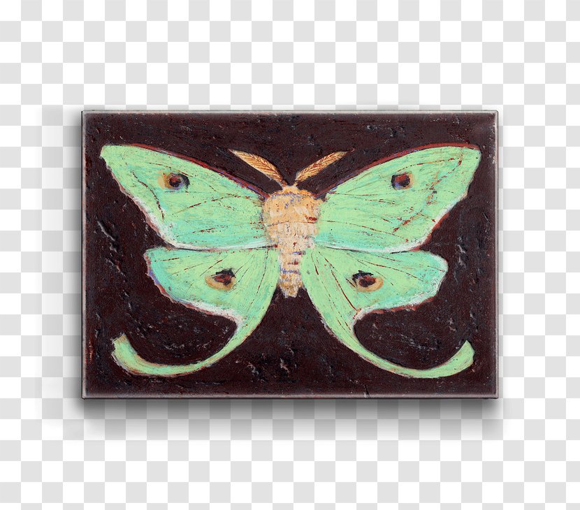 Luna Moth Brush-footed Butterflies Butterfly Metal - Invertebrate Transparent PNG