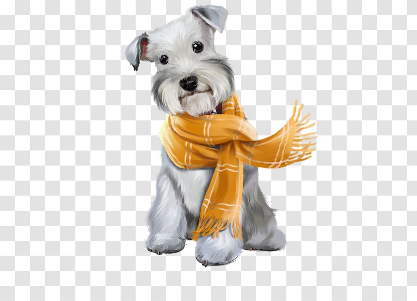 Miniature Schnauzer Puppy - Dog Like Mammal Transparent PNG