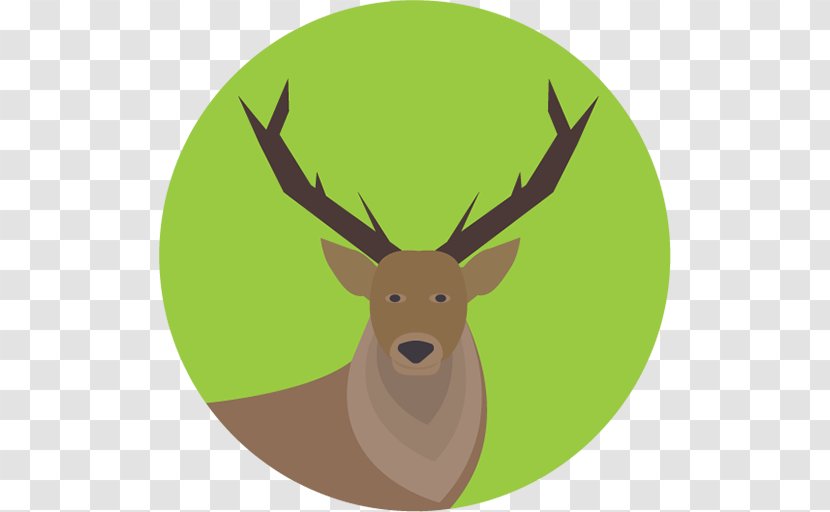 White-tailed Deer Elk Moose - Christmas - Vector Transparent PNG