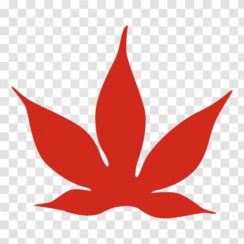 Maple Leaf Autumn Fall - Hemp Family Logo Transparent PNG