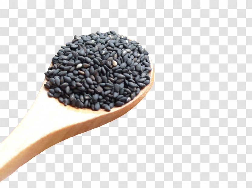 Sesame Cuisine Tahini Food Alkaline Diet - Eating - A Spoon Of Seeds Transparent PNG