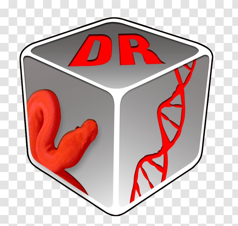 Reptile Snake Ball Python Logo - Heart Transparent PNG