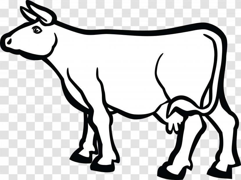 University Of Kansas Baka Holstein Friesian Cattle Calf Dairy - Cow Clipart Transparent PNG