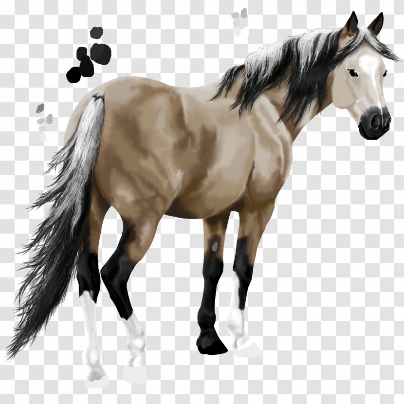 Mane Mustang Stallion Pony American Paint Horse Transparent PNG