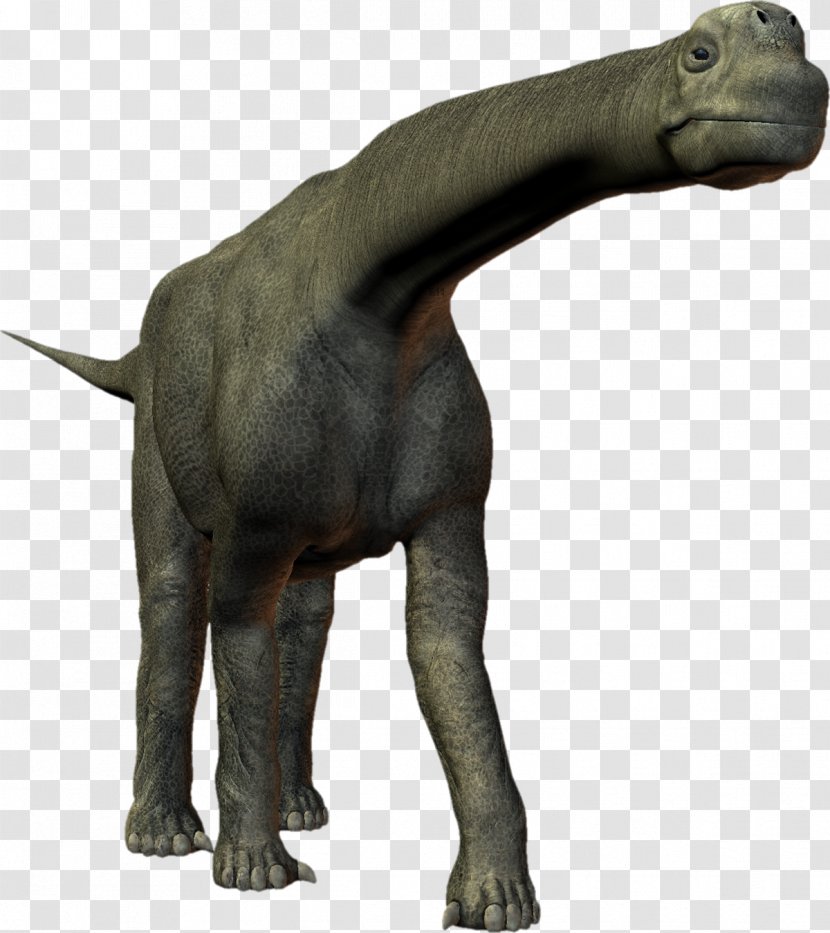 Tyrannosaurus Camarasaurus Reptile Dinosaur Sauropoda - Wiki Transparent PNG