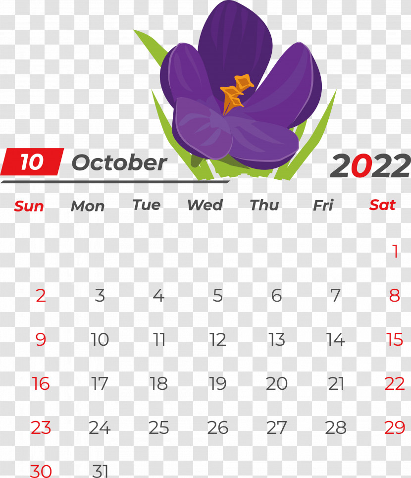 Calendar Flower Magenta Meter Transparent PNG