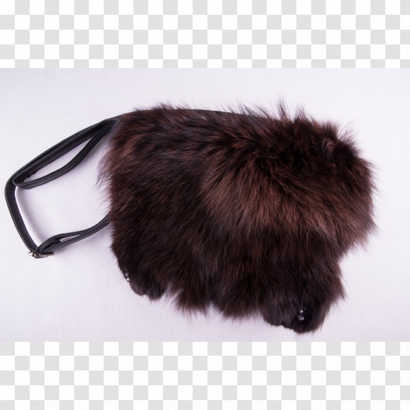 Fur Clothing Snout - Bourse Transparent PNG